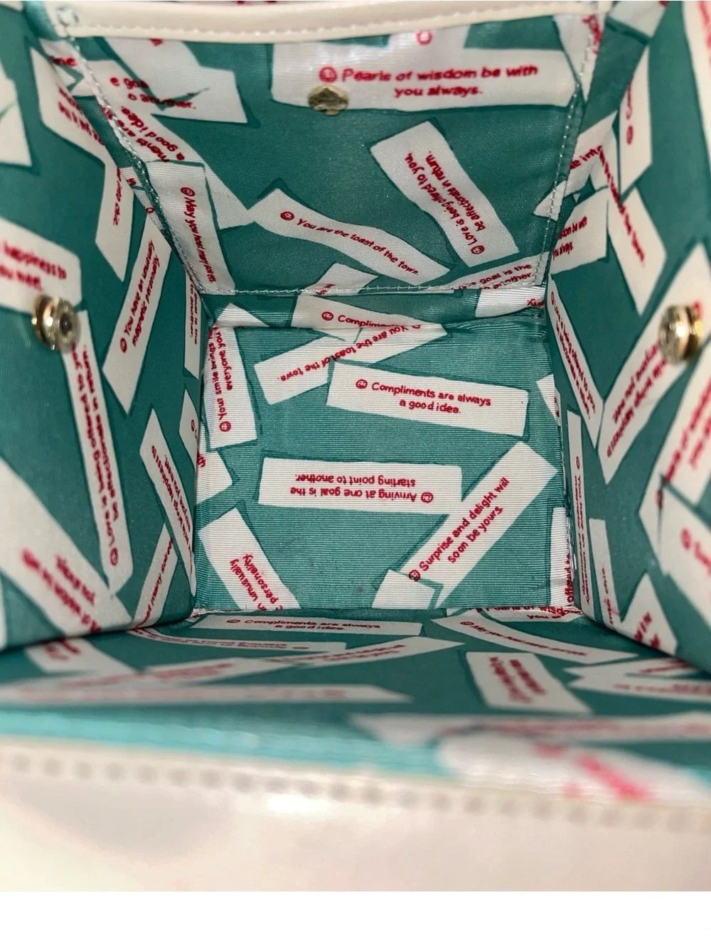 KATE SPADE NEW YORK HELLO SHANGHAI CRUZ TAKEOUT CONTAINER BAG